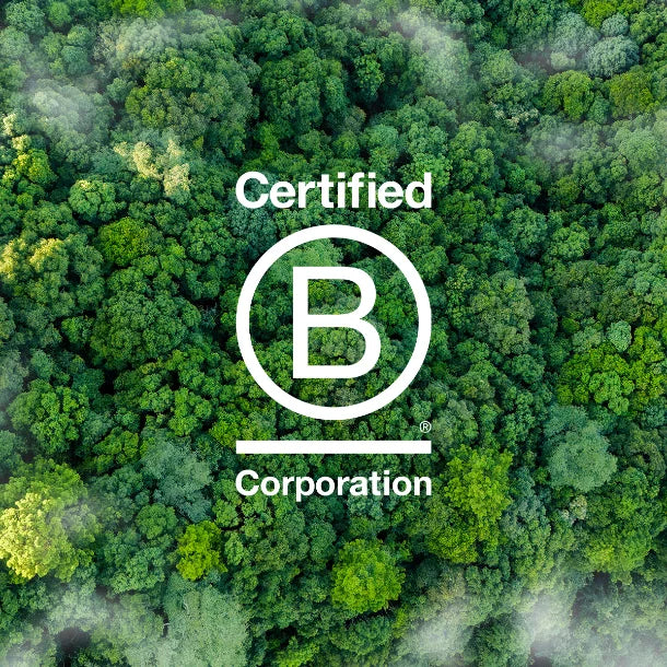 Certified B Corporation logo over a forest canopy